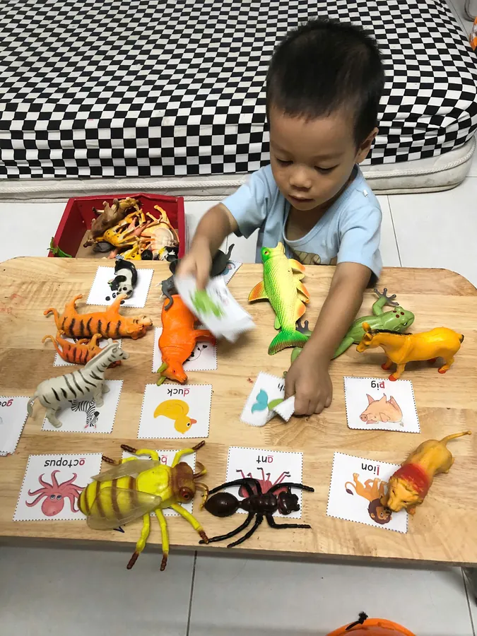 Ghép con vật với thẻ từ tiếng Anh